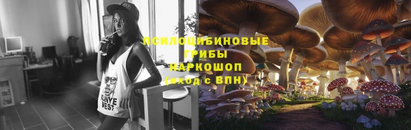 бутират Краснослободск