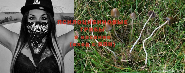 spice Красноперекопск