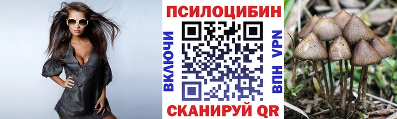 Псилоцибиновые грибы MAGIC MUSHROOMS  Купить закладки  Яхрома 